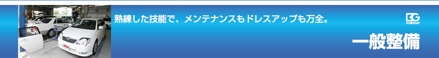 一般整備 熟練した技能で、メンテナンスもドレスアップも万全。